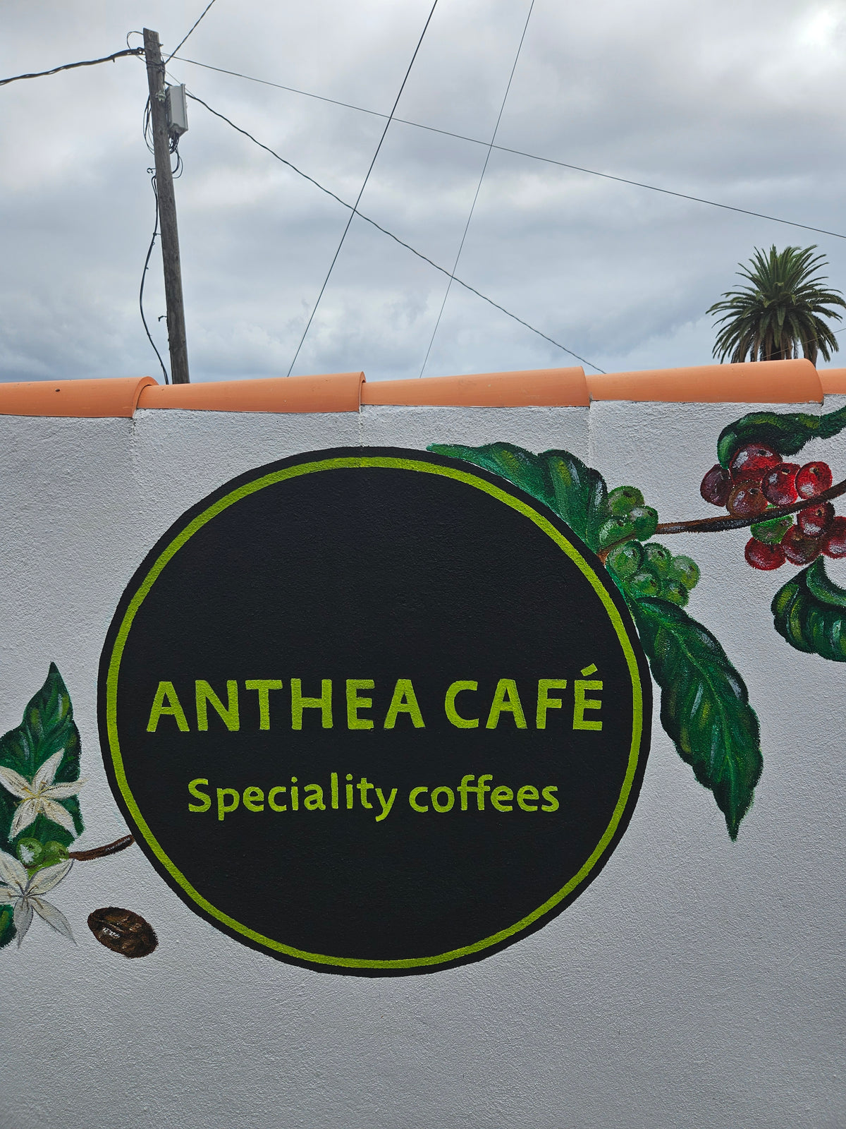 La Palma – Finca Anthea Geisha