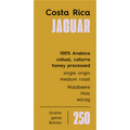 Costa Rica – Jaguar