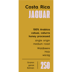 Costa Rica – Jaguar
