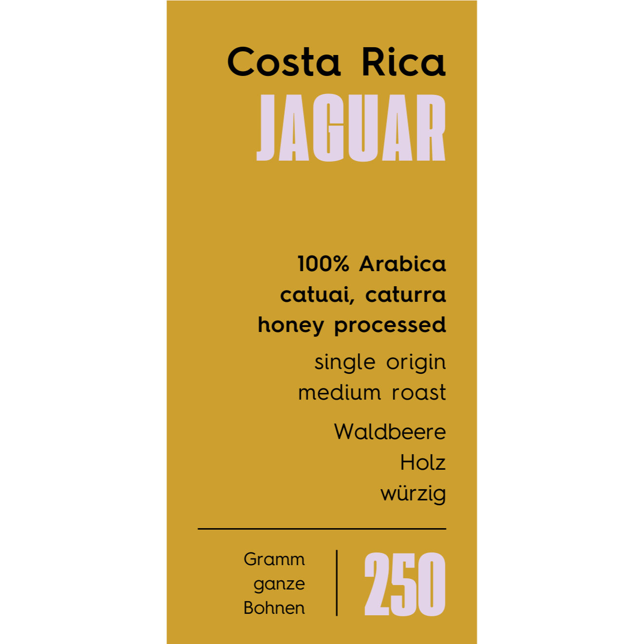 Costa Rica – Jaguar