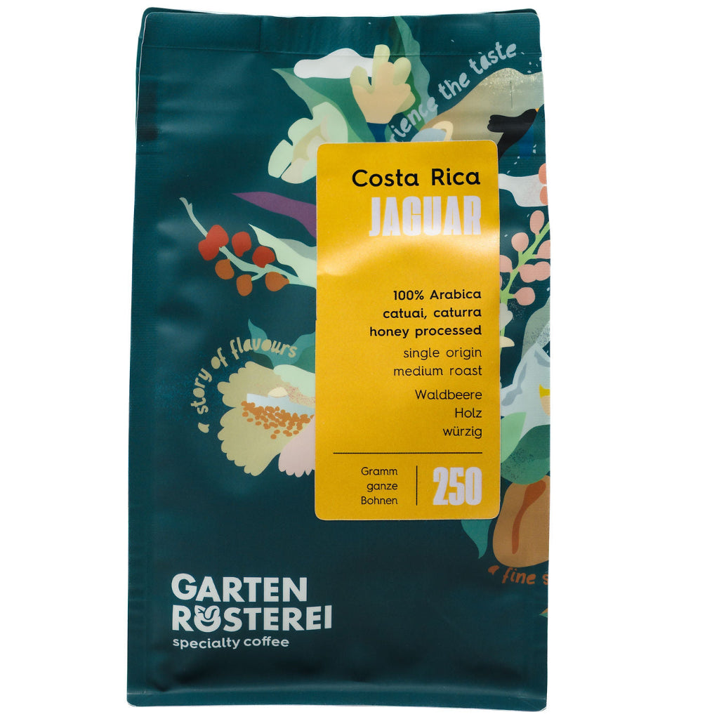 Costa Rica – Jaguar